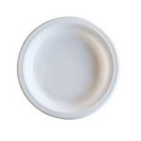   25 PLATOS BLANCOS REUTILIZABLE 22CM