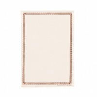   $D 100 CARTURLINA P/MENUS BEIG