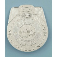   PLACA GIGANTE PLATA POLICIA