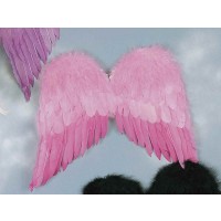   ALAS PLUMAS COLOR ROSA
