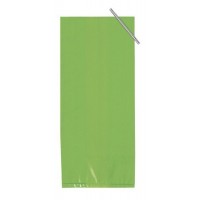PAQ.20/U BOLSA C/CIERRE V.LIMA 10X23CM