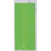 PAQ.20/U BOLSA C/CIERRE V.LIMA 13X29CM