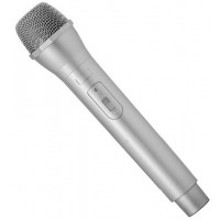   MICROFONO PLATA 24CM