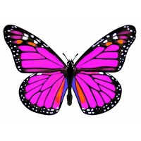 12 SILUETAS PRIMAVERA MARIPOSAS FLORES