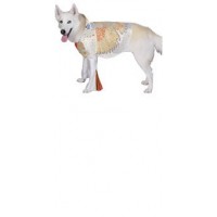  DISFRAZ MASCOTA T-M ELVIS