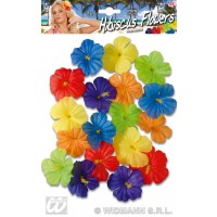 18 FLORES HIBISCUS COL.SURT