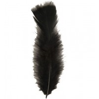 50 PLUMAS NEGRA APROX. 10CM