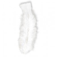   50 PLUMAS BLANCA APROX. 10CM