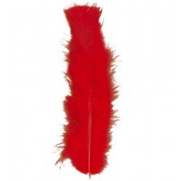   50 PLUMAS ROJA APROX. 10CM