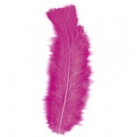   50 PLUMAS FUCSIA APROX. 10CM