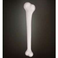 HUESO CAVERNICOLA 38CM