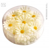 CAJA PVC 20/U MARGARITAS BLANCA