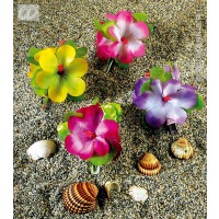 TRABA HAWAIANA C/FLORES