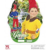$DDISFRAZ GNOMO 3A4/4A5 AÑOS 3COL.SURT