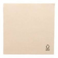 50 SERVILLETAS ECOLABEL 2C 39X39CM