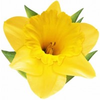 COLGANTE FLOR SURTIDAS
