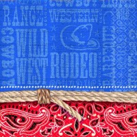 PAQ.16/U SERV.25 2/C VAQUERO RODEO