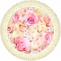 PAQ.8/U PLATO C/ROSAS SALMON 22,9CMS