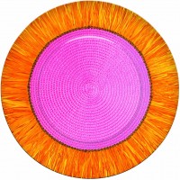 PAQ.8/U PLATOS HAWAI LUAU 26,7CMS