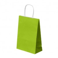T/BOLSA C/ASA VERDE ANIS 20 10X29CM