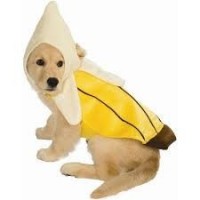 DISFRAZ MASCOTA T-M PLATANO