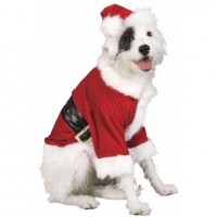 DISFRAZ MASCOTA T-L PAPA NOEL