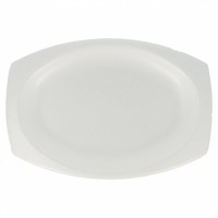 $D   125/U BANDEJA FOAM 23X18CM BLANC