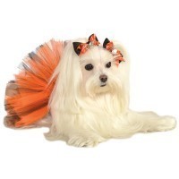 BLISTER 2U TRABAS MASCOTAS LAZO
