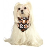 PAÑUELO MASCOTA T-ML GLITTER NARANJA