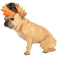 PELUCA MASCOTA T-SM CRESTA NARANJA