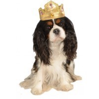 TIARA MASCOTA T-ML ORO PIEDRAS ROSAS