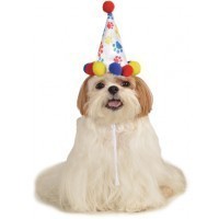 SOMBRERO MASCOTA T-ML BIRTHDAY MULTI
