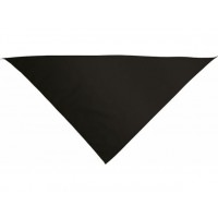   PAÑUELO CABEZA LISO NEGRO