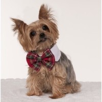 CUELLO PAJARITA A CUADROS PARA MASCOTAS