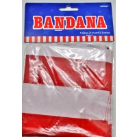 BANDANA BANDERA U.S.A. 53.3CMS