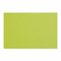 200 MANTELINES SPUNBOND VERDE