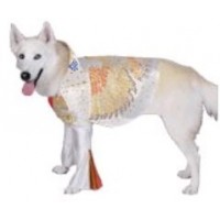  DISFRAZ MASCOTA T-L ELVIS