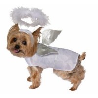  DISFRAZ T-M ANGEL PMASCOTA