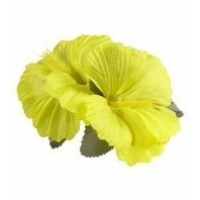   TRABA PELO FLOR HIBISCUS AMARILLO