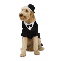  DISFRAZ MASCOTA T-L CHAQUET