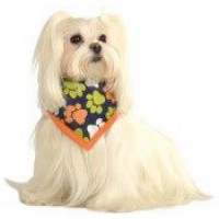 PAÑUELO T-S/M MASCOTA ESTAMPADO HUELL