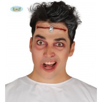 $D CICATRIZ CORTE CABEZA