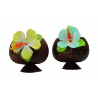 COPA COCO FLOR HIBISCUS COL.SURT