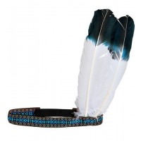 BANDA DE INDIO CON DOS PLUMAS