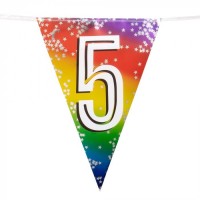 BANDERIN TRIANGULAR N5 MULTICOLOR 6M
