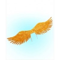 ALAS CON PLUMAS DORADAS