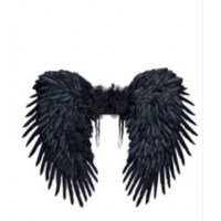ALAS CON PLUMAS NEGRAS