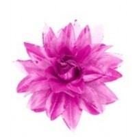 PINZA PELO  FLOR FUCSIA/LILA GLITTER