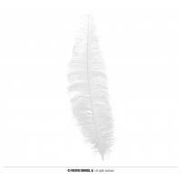   PLUMA AVESTRUZ BLANCA 40CM