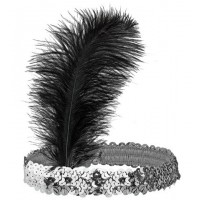   DIADEMA CON LENTJ PLATA PLUMA NEG